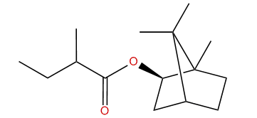 1,7,7-Trimethylbicyclo[2.2.1]hept-2-yl 2-methylbutanoate